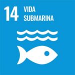 Inicio 14 vida submarina 3
