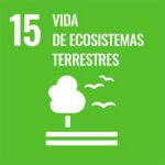 Inicio 15 vida de ecosistemas terrestres 3