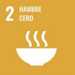 Inicio 2 hambre cero 20