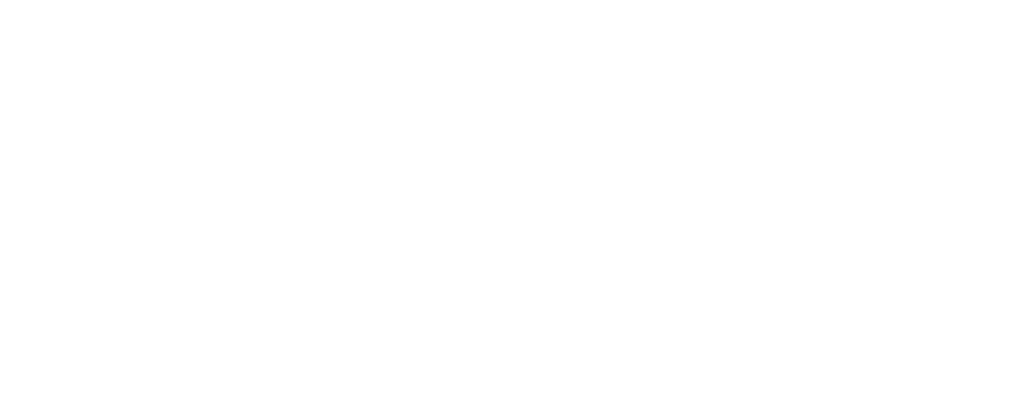 logo h white